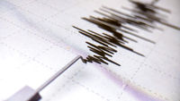 Terremoto Roma: scossa ai Castelli di magnitudo 3, epicentro a Lariano