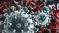 Coronavirus: ecco come ucciderà davvero