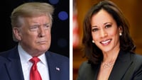 Kamala Harris, la vice di Biden, potrebbe far vincere Trump alle Elezioni USA 2020