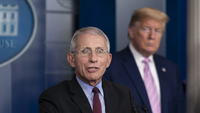 700 economisti contro rielezione Trump: “Egoista e incosciente”