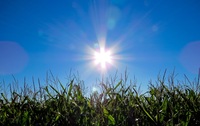 Anticiclone di Capodanno, primavera in anticipo in tutta Italia. Corazzon, 3B Meteo: "Caldo anomalo"