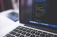 Come ha fatto un dodicenne a guadagnare migliaia di euro con delle balene digitali?