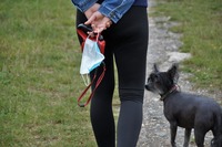 Covid nei cani e gatti: sintomi e rischio contagio