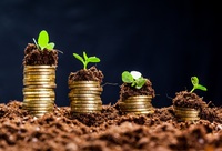 Wellbeing economy, le aziende italiane verso un futuro sostenibile