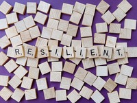 Resilienza: cos'è e cosa significa