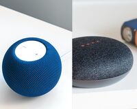 HomePod mini vs Amazon Echo Dot: quale comprare? Prezzi e differenze 
