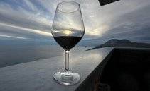 Perché i vitigni autoctoni sono importanti? Le uve che raccontano il territorio italiano