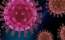 Coronavirus: ci sarà ancora in estate e attenzione agli animali. Lo dice la virologa