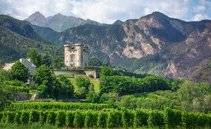 Vitigni estremi. I tesori autoctoni della Valle d'Aosta, dove il vino sfida la montagna