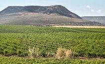 Lava, vento, rabbia e amore. La Sicilia nel calice che non ti aspetti