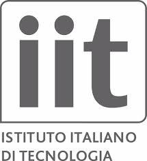 Istituto Italiano di Tecnologia