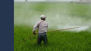 Allarme pesticidi. Il nuovo Regolamento Europeo per la riduzione dei controlli mette a rischio salute e ambiente