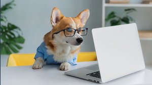 Si può portare il cane in ufficio?