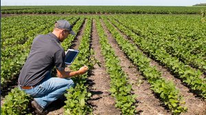 Caporalato in agricoltura, al via la vigilanza straordinaria su tutto il territorio