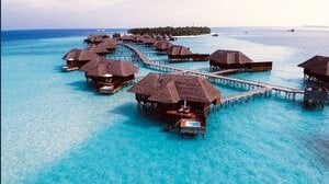Lavorare come libraio alle Maldive: come candidarsi per un impiego da sogno
