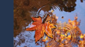 Previsioni meteo, quando arriva l'autunno?