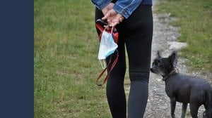 Covid nei cani e gatti: sintomi e rischio contagio
