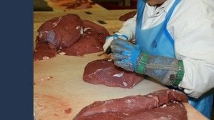 Attenzione a mangiare carne e uova. Dal 2026 saranno meno controllati