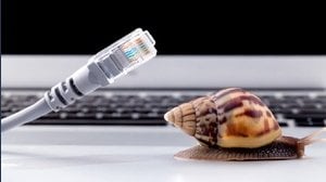 Il metodo insolito grazie al quale le aziende inglesi evitano le tasse