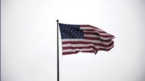 Coronavirus: gli USA si armano, con le pistole