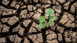 Caldo e siccità estremi costeranno cari all'economia mondiale. Allarme per il 2090 