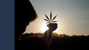Basta proibizionismo complice della malavita: guardiamo ai vantaggi della legalizzazione della cannabis