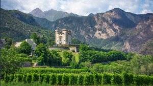 Bonus agricoltura 2026, come richiedere fino a 600.000 euro con “Più Impresa”