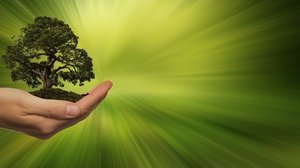 Cos'è l'economia circolare? Come funziona, obiettivi e vantaggi