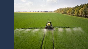 Incentivi acquisto terreni agricoli all'asta, come accedere alla banca delle Terre Agricole