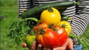 Frutta e verdura contaminate, ecco quali hanno più pesticidi