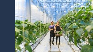 Meta: ecco come le Pmi possono frenare il cambiamento climatico
