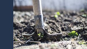 Scoprono 64 monete d'oro da €260.000 mentre fanno giardinaggio