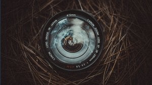 Videosorveglianza al lavoro, tutti gli obblighi dell'azienda e i diritti dei dipendenti