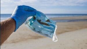 Più di 1,5 miliardi di mascherine finiranno in mare nel 2020: il report di OceansAsia
