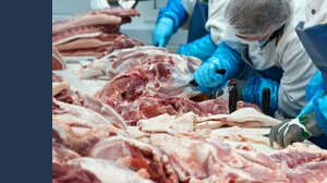 Coronavirus, spunta nuovo effetto indesiderato: la carne sa di petrolio