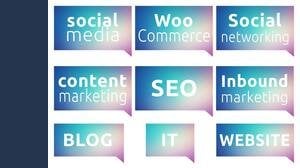 Partita Iva professioni digitali e influencer, quale codice Ateco scegliere?