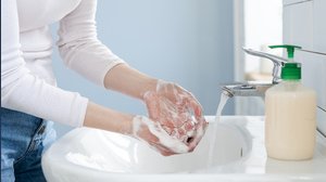 Se trovi questi insetti nel bagno devi preoccuparti (e indagare sulla causa del problema)