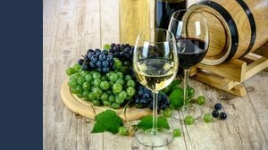 Come aprire un'enoteca o un wine bar: requisiti, iter e costi. La guida rapida