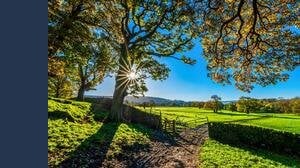 Bonus agricoltura, per ricevere i soldi c'è un obbligo da rispettare