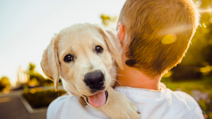 Cani e gatti ammessi ovunque per legge: la proposta