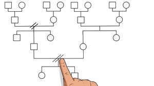 Parenti di primo e secondo grado, chi sono?