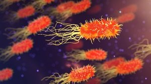 Ameba mangia-cervello nell'acqua potabile, è allarme. Cos'è, rischi e sintomi