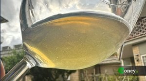 Cinque vini italiani da assaggiare almeno una volta nella vita