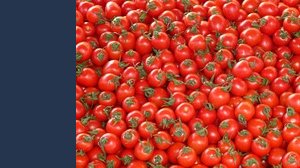 Passata Petti: perché 4.400 tonnellate di pomodoro sono state ritirate dal mercato