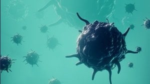 Hantavirus in Italia, ecco le indicazioni del ministero della Salute