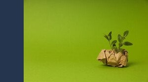 Quanto rendono (davvero) oggi i 4 BTP Green con cedola annua lorda fino al 4,05%?