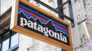 La storia di successo di Yvon Chouinard, fondatore di Patagonia che ha rinunciato all'azienda per l'ambiente