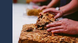 Philip Morris investirà €1 miliardo in Italia per sostenere i giovani imprenditori