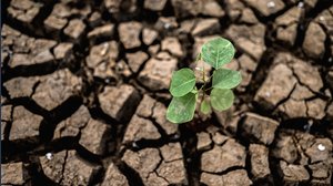 Così il cambiamento climatico distrugge l'economia del Made in Italy