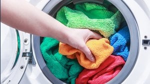Mettere foglie di alloro in lavatrice fa risparmiare. Il trucco che sempre più persone usano